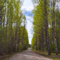 Helmiälä PopUpin rakennus edestäpäin katsottuna